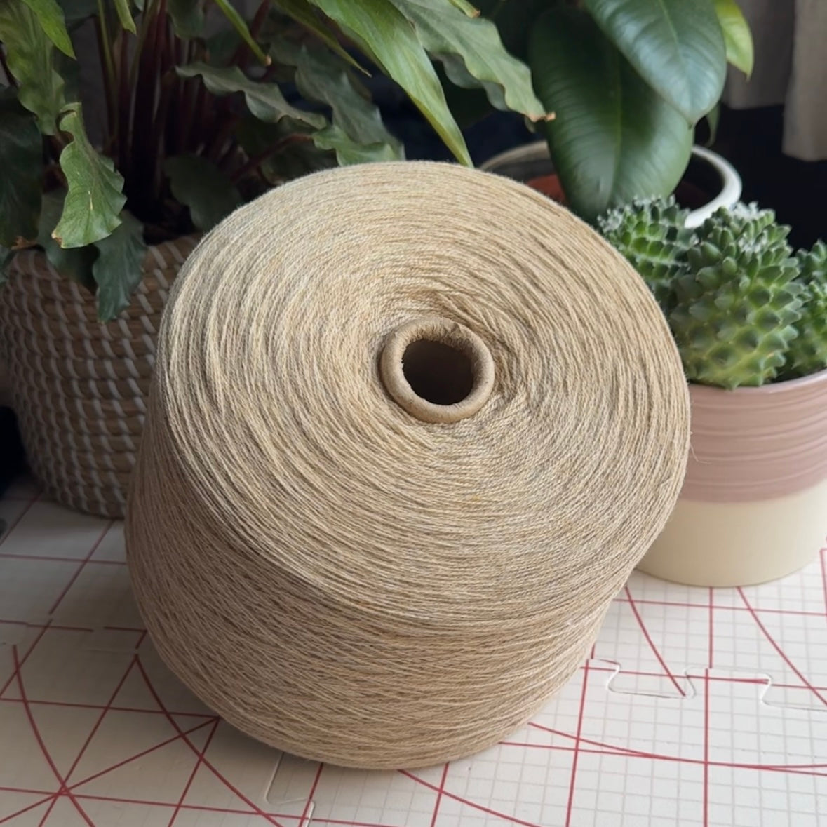 Knoll Merino Lambswool 2/17 Nm / Baby Camel (102)