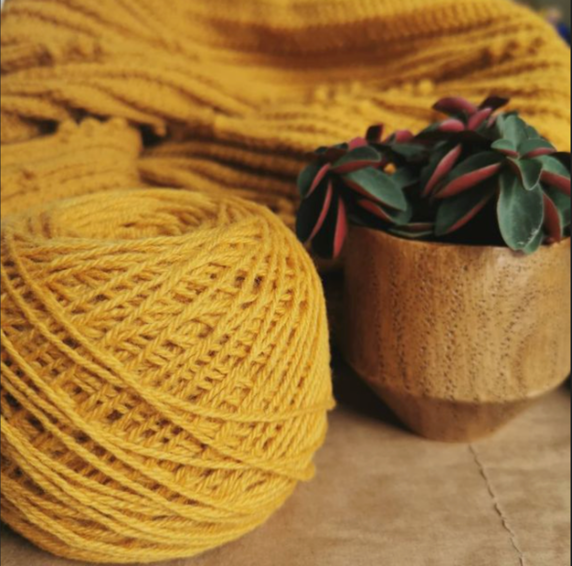 Feodosiia Tansy / Пижма 25г