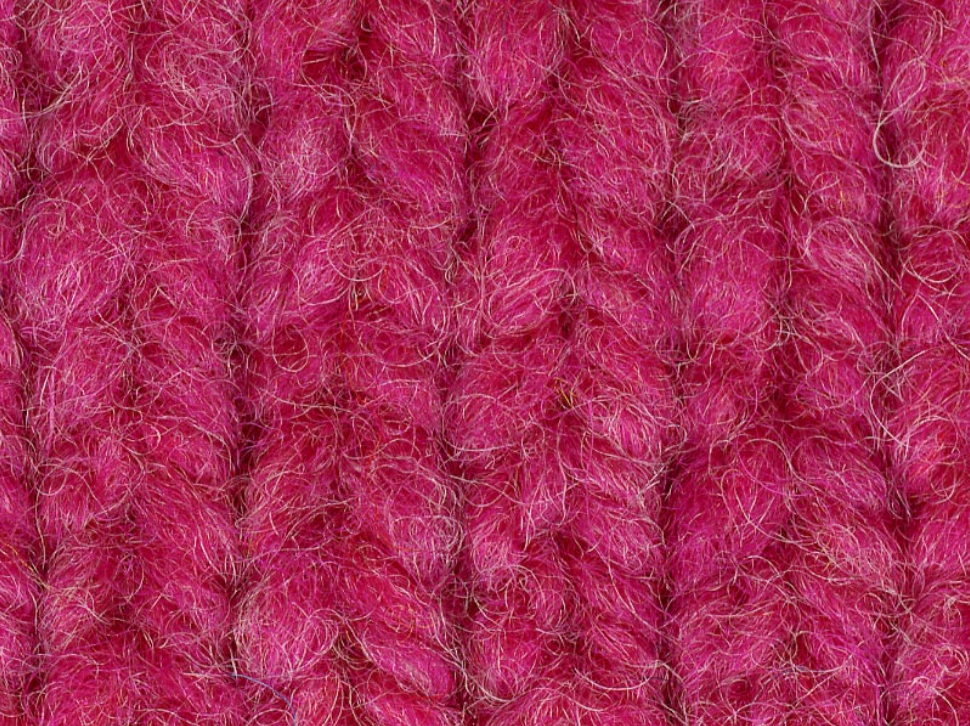 Carnation